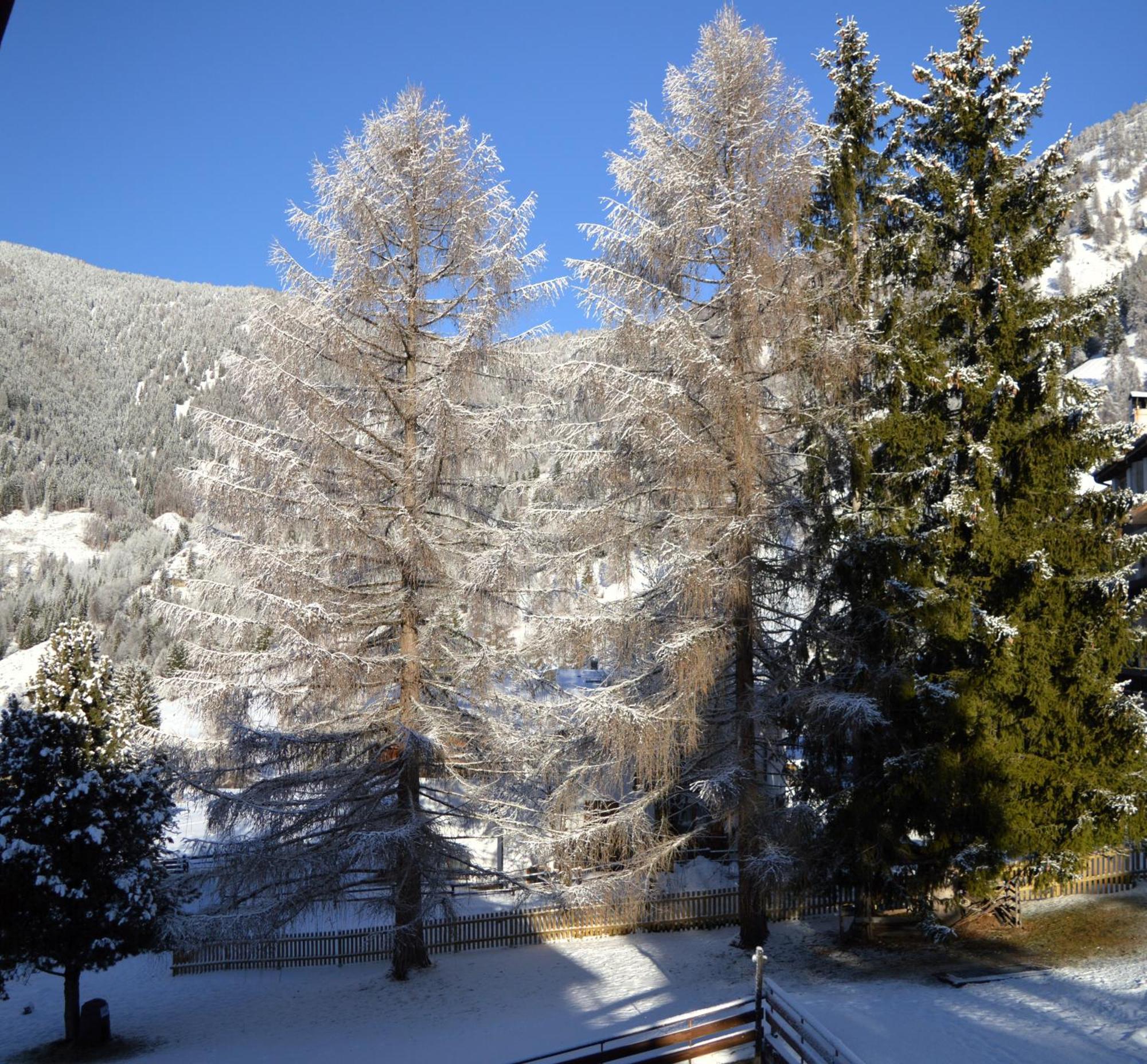 Hotel Stella Alpina Bellamonte Exterior foto
